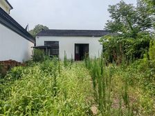 东山,占地半亩,汽车入院,山中大院平房出售