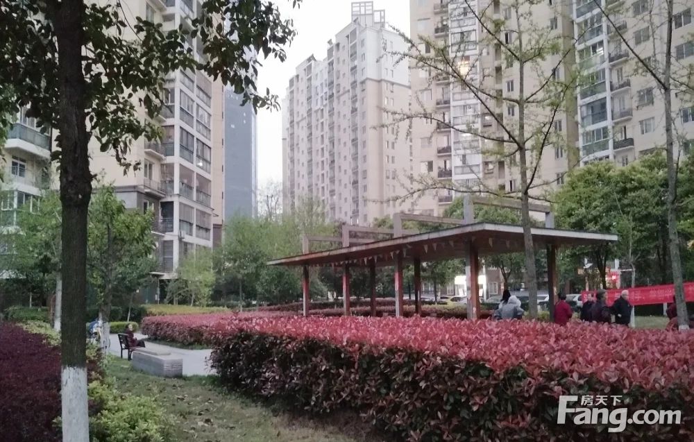 房源图片