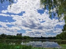 西海公园阳面小房直租