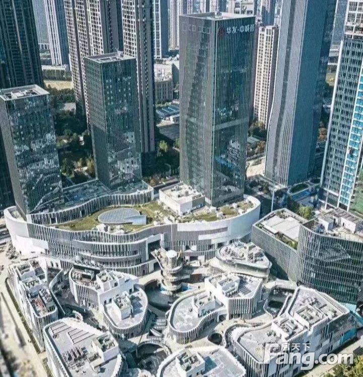 实景图