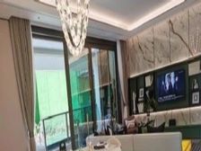 光谷核心 新希望 下叠 超大院子 地下负两层 带采光井