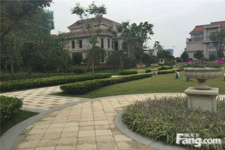 小区相关图