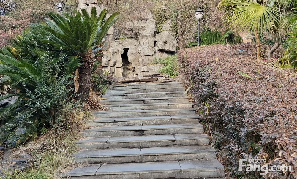 带超大露台 复式大洋房 静园山庄一梯一户纯板楼 读金鹰博才,长沙望城