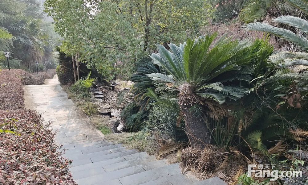 带超大露台 复式大洋房 静园山庄一梯一户纯板楼 读金鹰博才,长沙望城