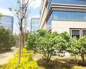 望京稀缺的独栋 面积独一份 欧式风格 有燃气上下水 绿地方恒