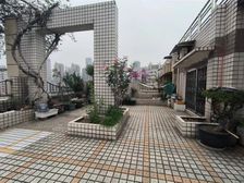 综合楼 大户型带屋顶花园 价格实惠 看房方便 单价低