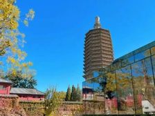 天宁1号文化科技园独栋 接待 146平起租