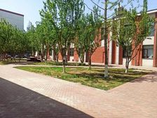 金融街丨达官营丨天宁1号丨精装独栋丨随时看房丨可定制