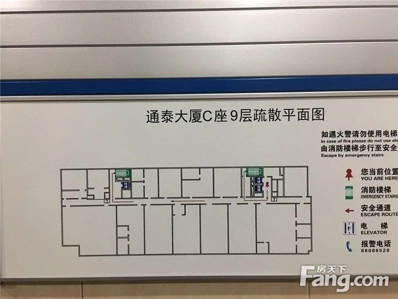 平面图