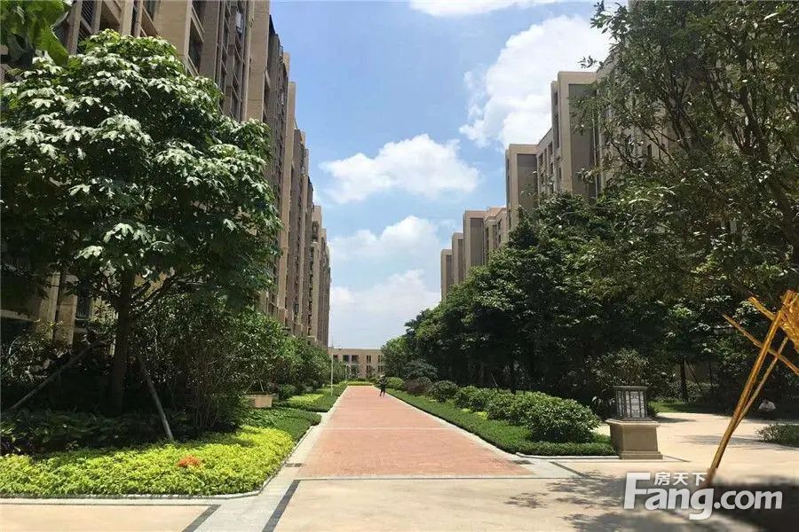 禅城张槎业主急售168万中海凤凰熙岸精装修一线望江近地铁