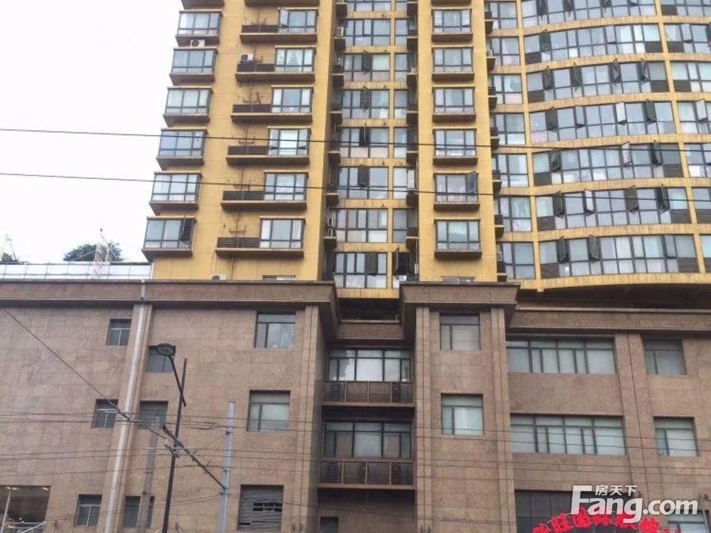 实景图