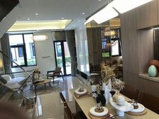 地铁4站金桥 10站陆家嘴低密度联排 上实学区