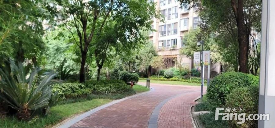 精装套三21,成都金牛荷花池瑞安城中汇二手房 三室 - 房天下