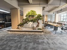 华侨城创意园 设计风格 精装修 前台大气 采光好