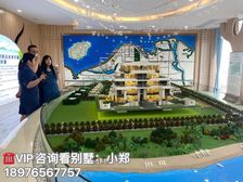 海口西·澄迈(直隶海郡别墅)109平米叠拼别墅 特价168万