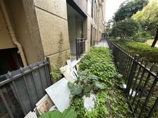 漓江大美A 带20平花园朝南二房新精装未入住兴进悦府万达旁