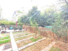 新出,洋房,1楼,赠大院子,311平,1220万,急售。