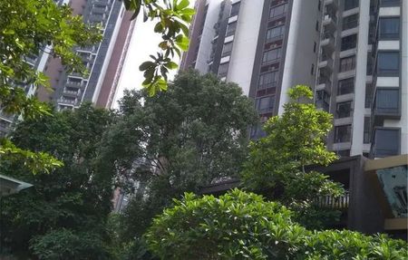 房源图片