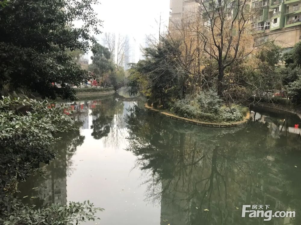 小区相关图