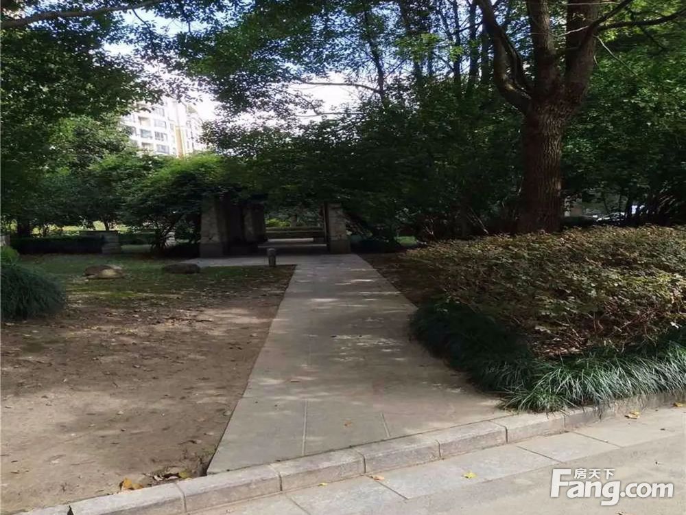 实景图