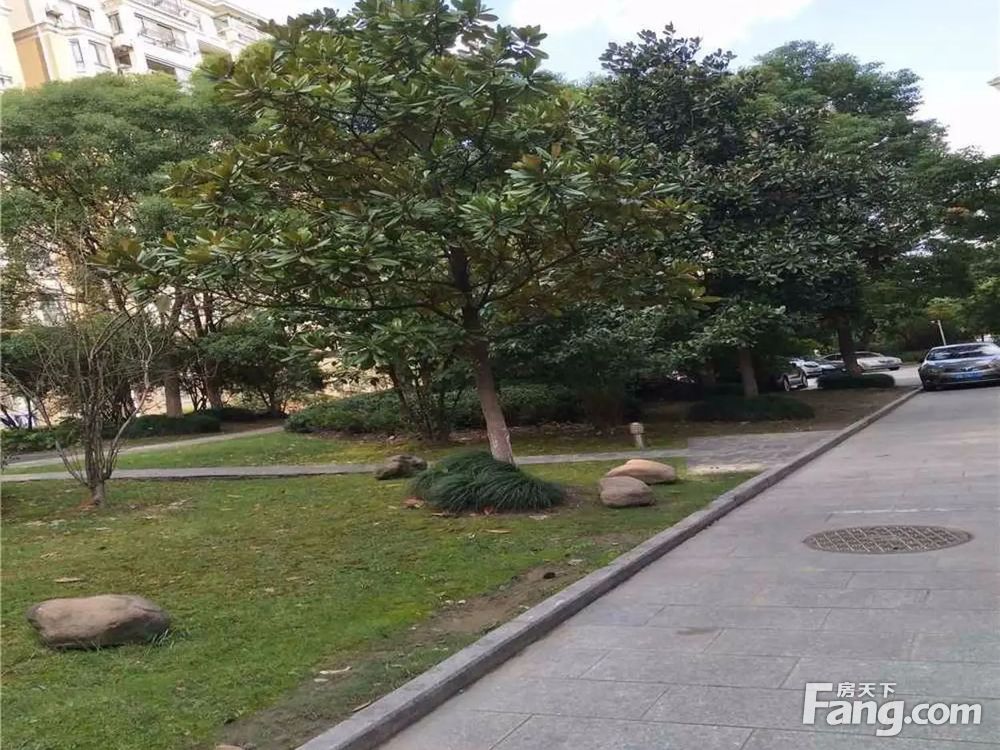 实景图