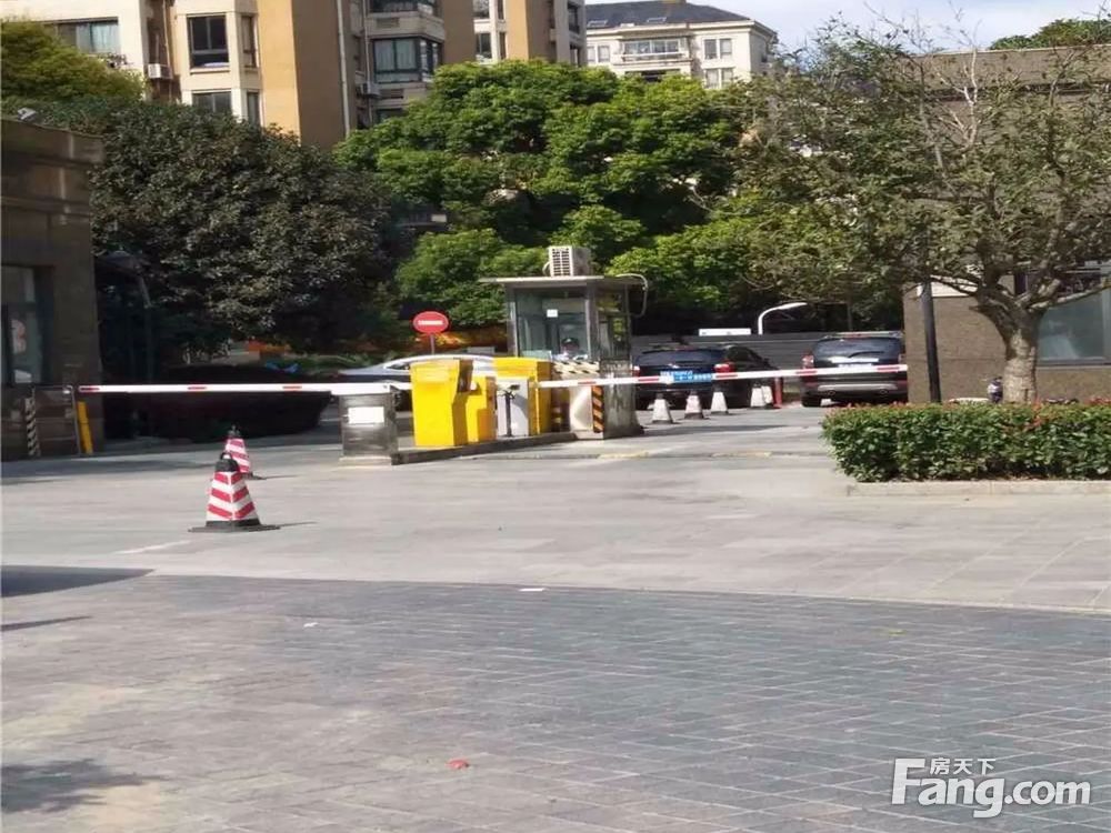 实景图