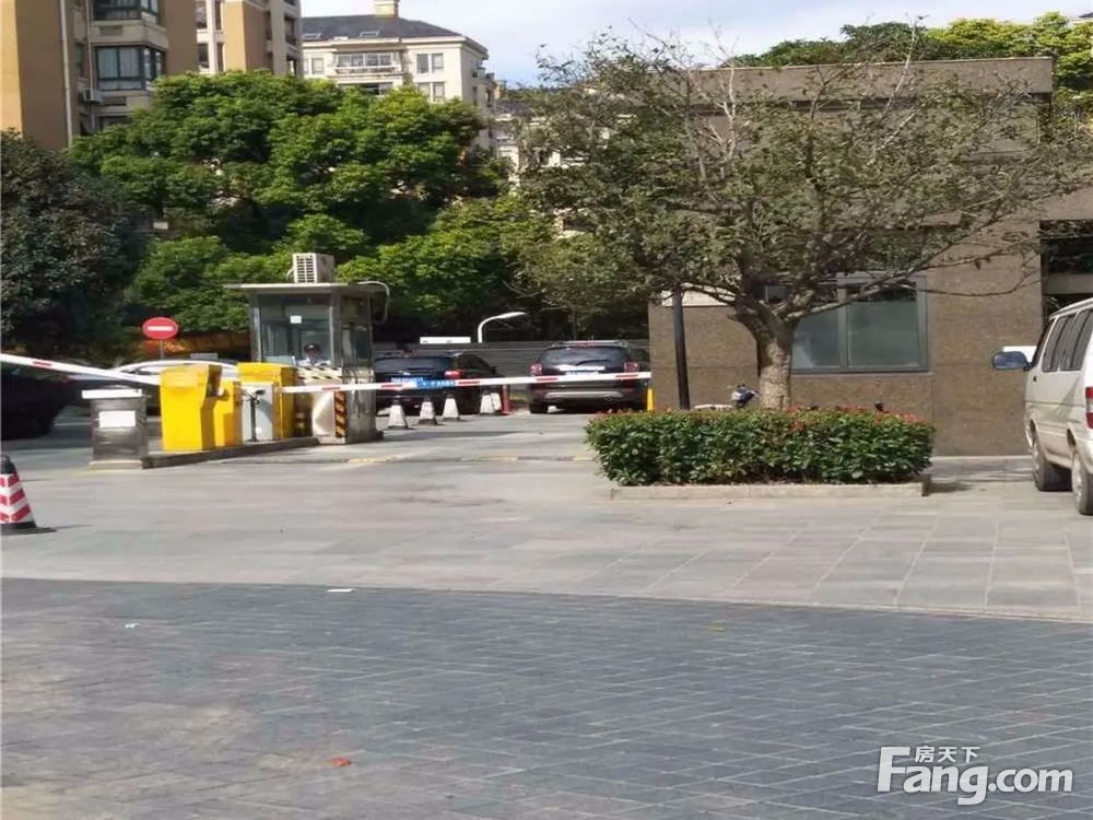 实景图