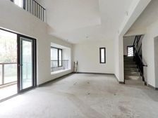 龙湖狮山原著,纯毛坯,一手房,两层送一层