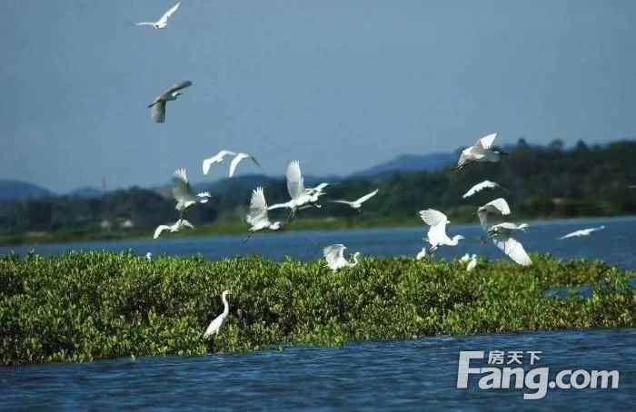 一線海景70年產權小戶型 現房精裝修,海南儋州儋州市中區古鹽田白鷺灣