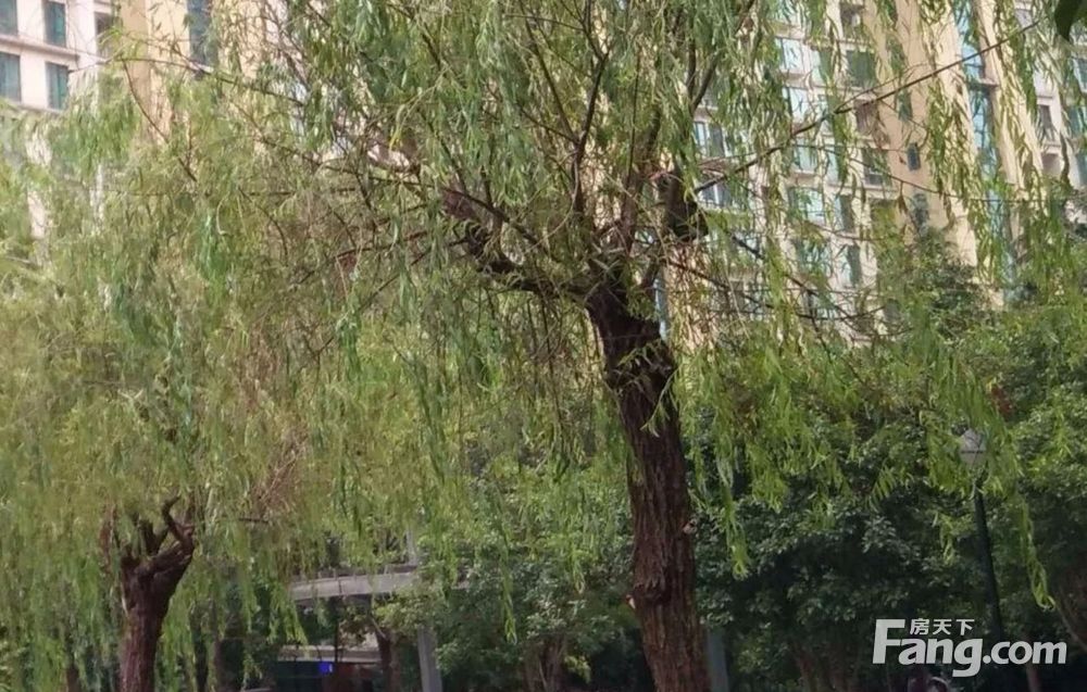 房源图片