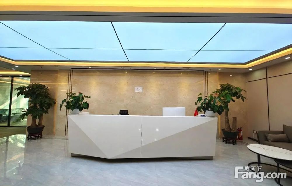 电梯口特价65元 金中环国际商务大厦 福田中心区300平