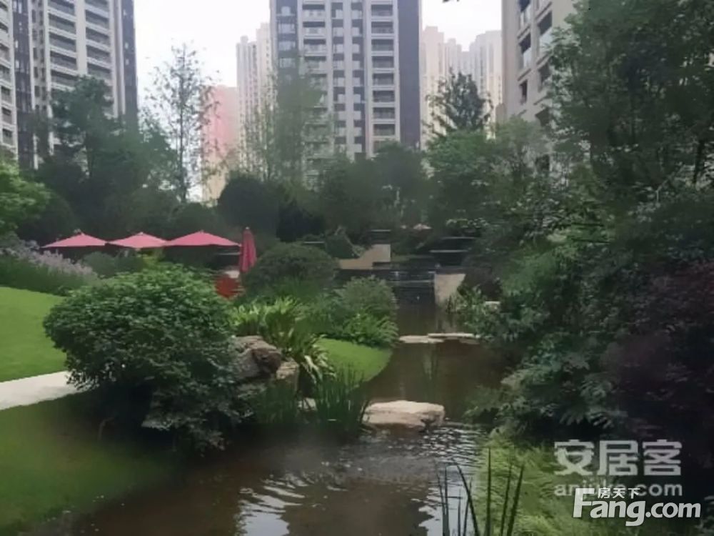 实景图