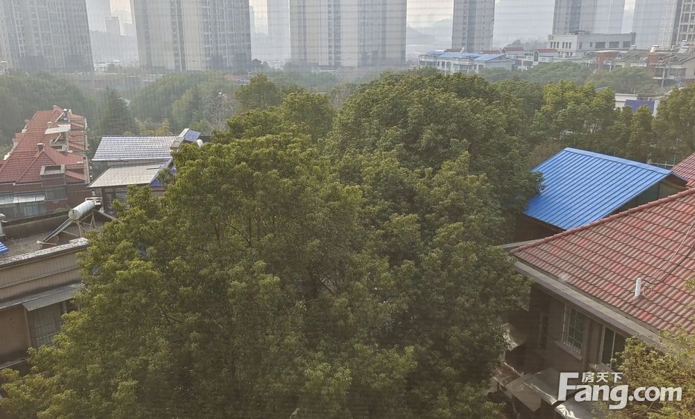 带超大露台 复式大洋房 静园山庄一梯一户纯板楼 读金鹰博才,长沙望城