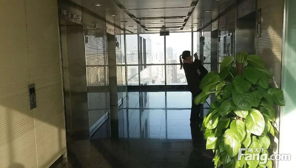 内景图