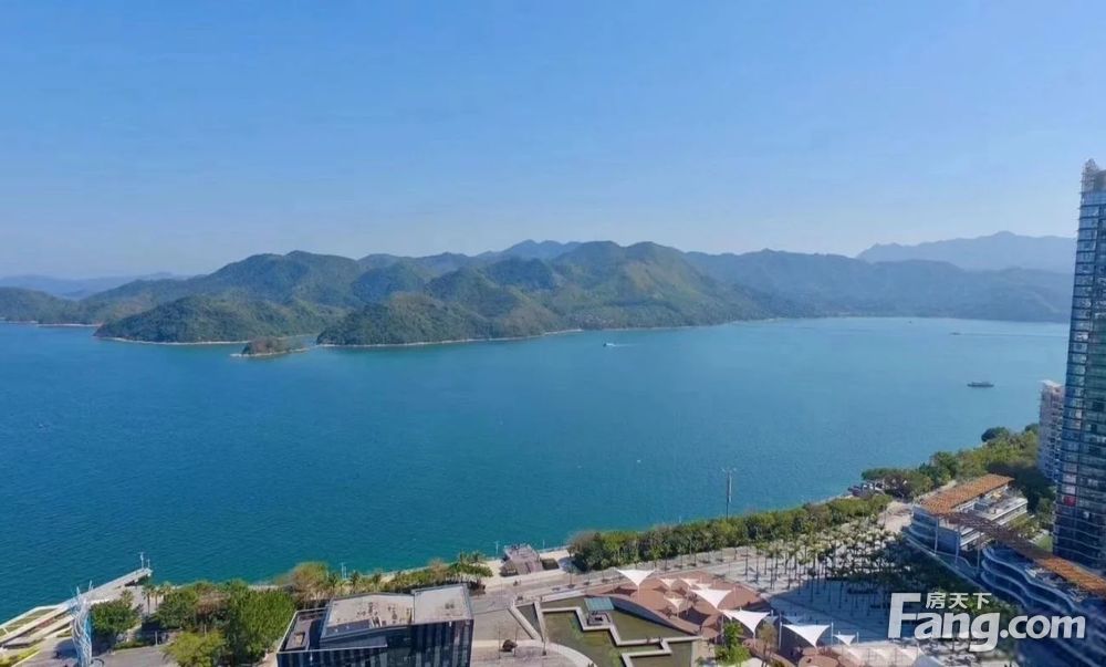 一手独栋别墅使用率高大花园半山半海