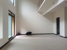 龙湖九里晴川别墅 463平端户 南向精装修 着急出售