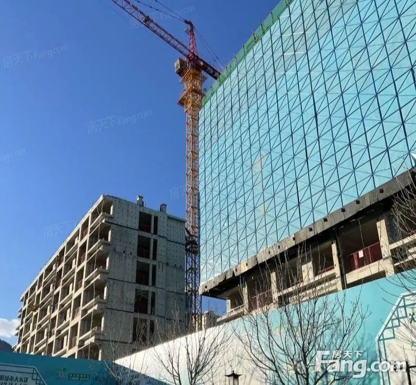 实景图