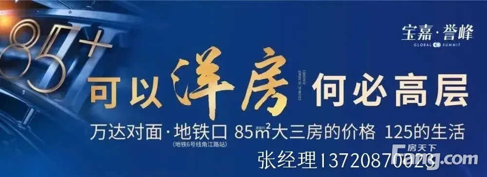 |万达对面，与繁华共舞|宝嘉誉峰|洋房|新房|地铁|现房
