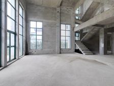 阳澄领岛别墅独栋别墅南临河,三面花园大约400平居家养老佳选