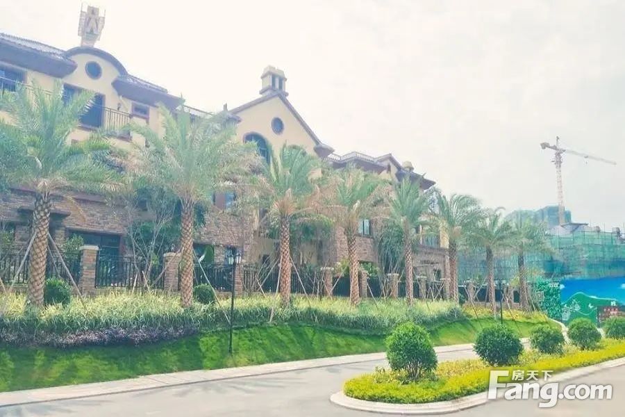 实景图