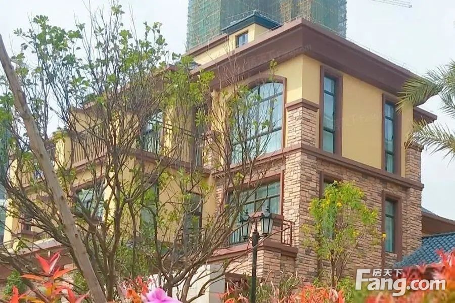 实景图