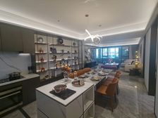 森霆春晓 17层小高改善 独立入门厅 落地窗两梯两户