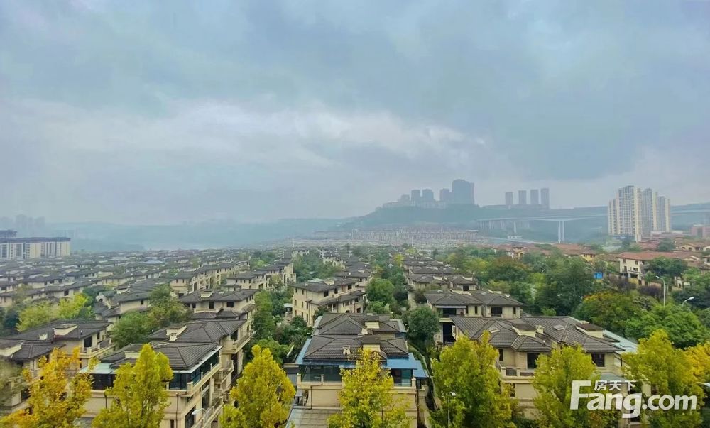 龙湖两江新宸旭宸必看好房仅1套捡漏价带电梯地下室全明