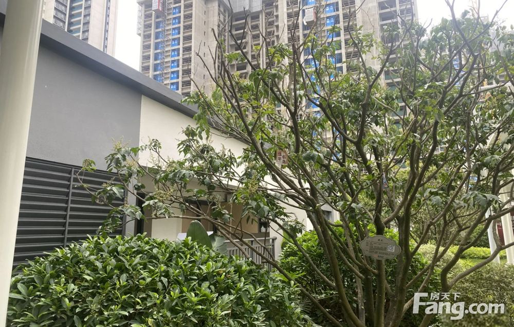 镇龙tod上盖 星汇城 南向三房 来电可享额外返现优惠折扣,广州黄埔