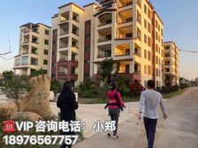 海南.定安(爱克养生谷)46㎡精装复试两房 特价43.9万