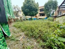 中信御园848平大独栋 出售 随时可以看房 可谈