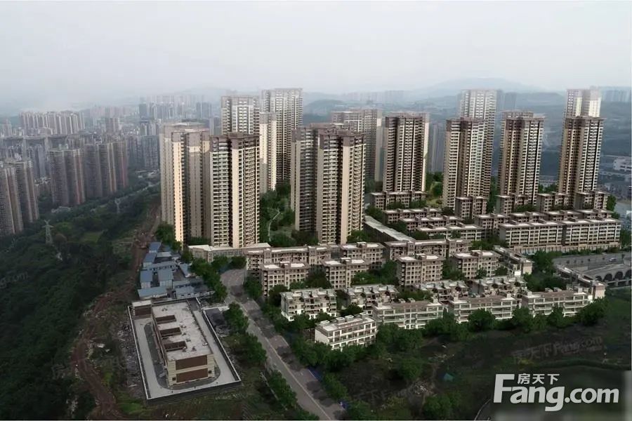 实景图