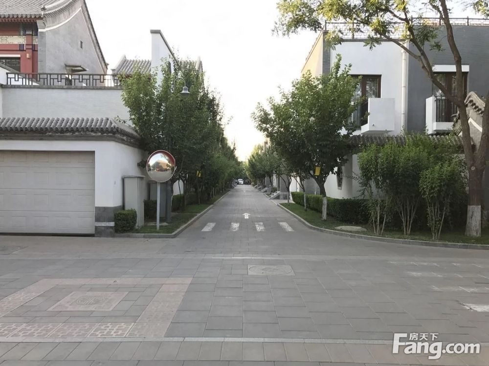 实景图