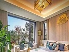 江南园林景观,万科雲庐精装别墅330平,独门独院