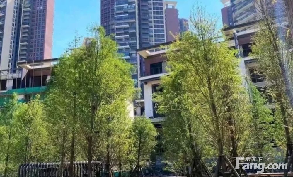 高铁南站旁 自带公园 商业 學校 星河丹堤临湖新品双拼别墅